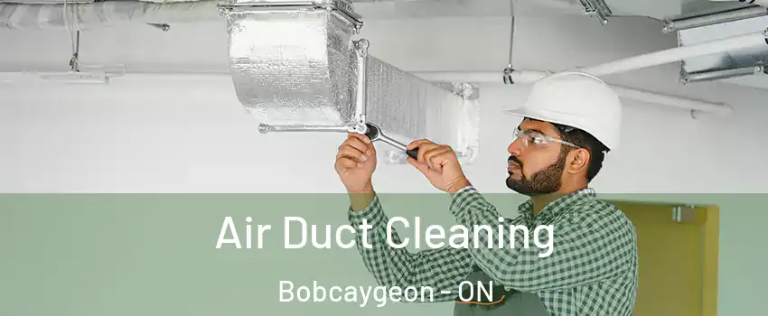  Air Duct Cleaning Bobcaygeon - ON