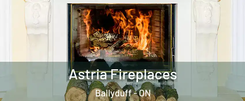  Astria Fireplaces Ballyduff - ON