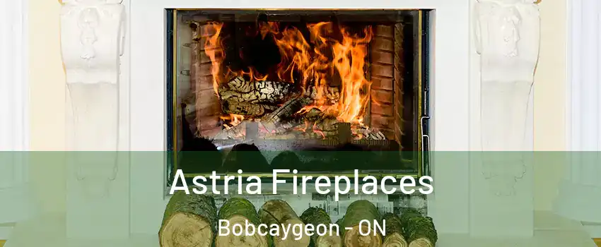  Astria Fireplaces Bobcaygeon - ON