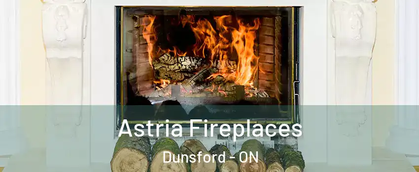  Astria Fireplaces Dunsford - ON