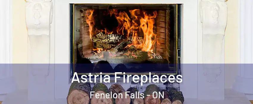  Astria Fireplaces Fenelon Falls - ON