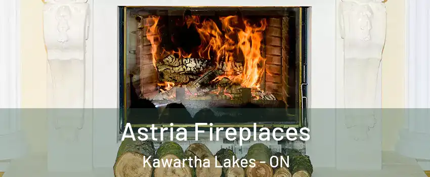  Astria Fireplaces Kawartha Lakes - ON