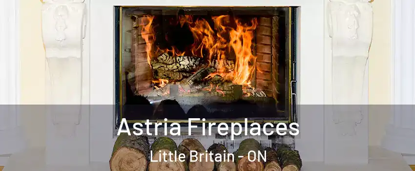  Astria Fireplaces Little Britain - ON