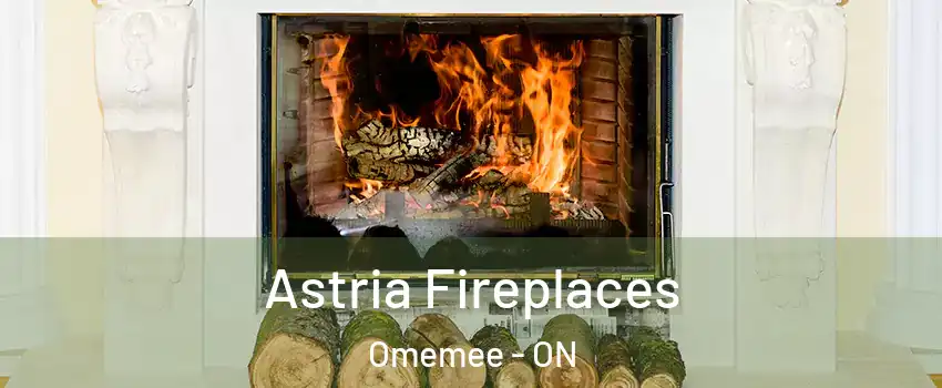  Astria Fireplaces Omemee - ON