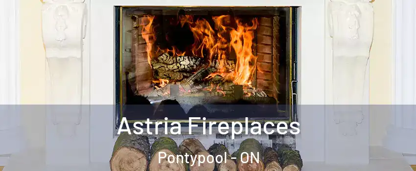  Astria Fireplaces Pontypool - ON