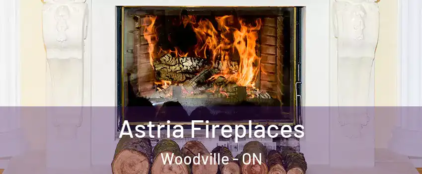  Astria Fireplaces Woodville - ON