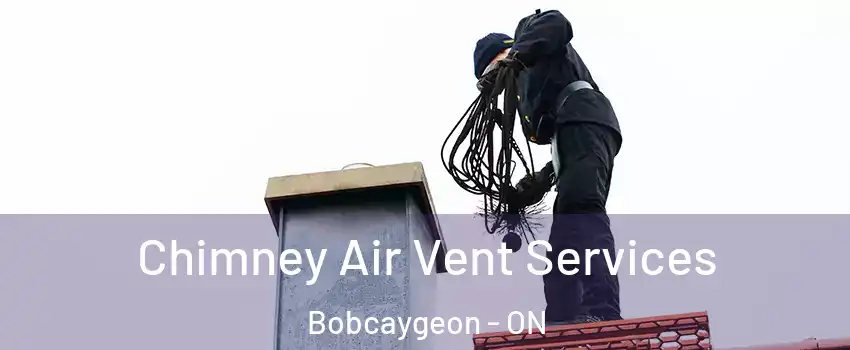  Chimney Air Vent Services Bobcaygeon - ON