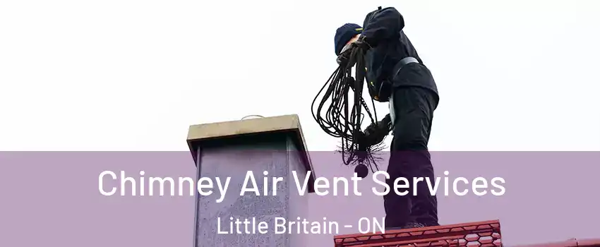  Chimney Air Vent Services Little Britain - ON