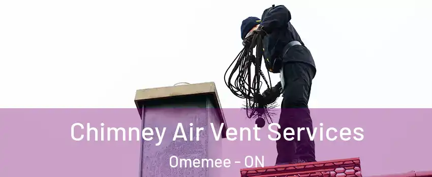  Chimney Air Vent Services Omemee - ON