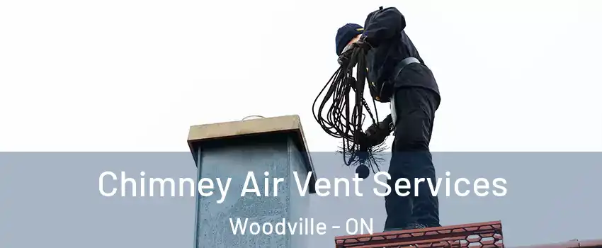  Chimney Air Vent Services Woodville - ON