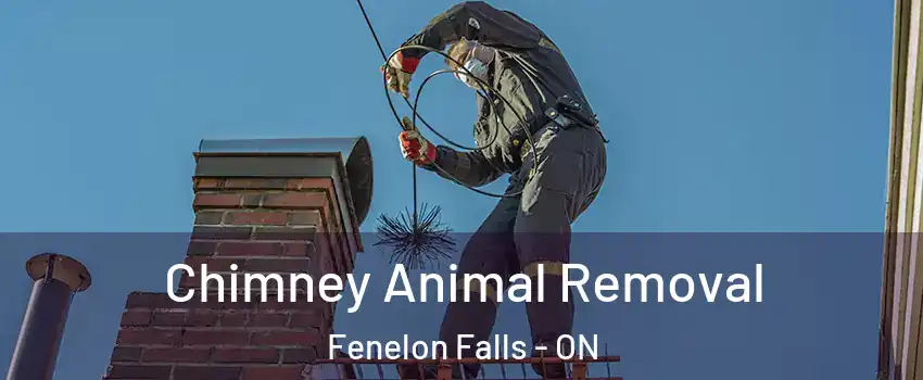 Chimney Animal Removal Fenelon Falls - ON