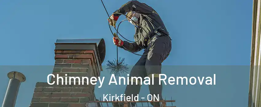 Chimney Animal Removal Kirkfield - ON