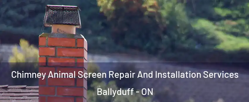  Chimney Animal Screen Repair And Installation Services Ballyduff - ON