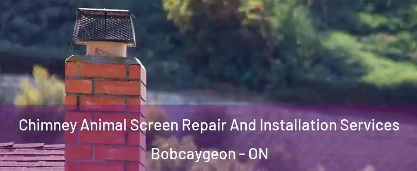  Chimney Animal Screen Repair And Installation Services Bobcaygeon - ON