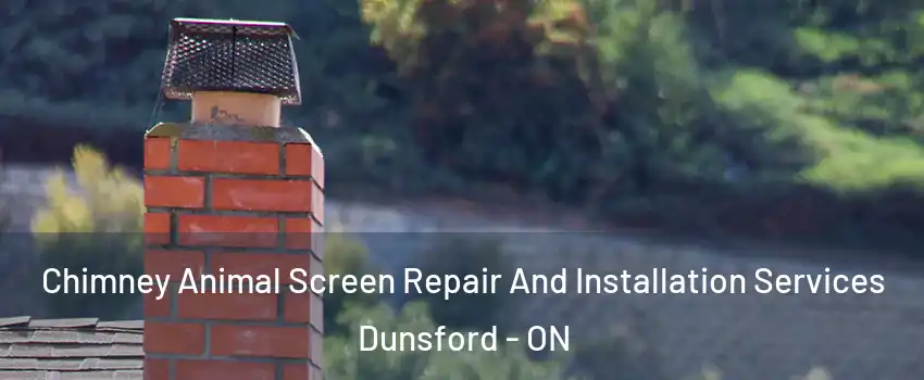  Chimney Animal Screen Repair And Installation Services Dunsford - ON