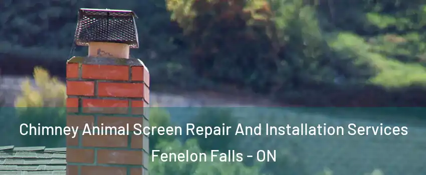  Chimney Animal Screen Repair And Installation Services Fenelon Falls - ON