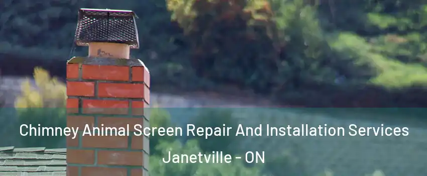  Chimney Animal Screen Repair And Installation Services Janetville - ON