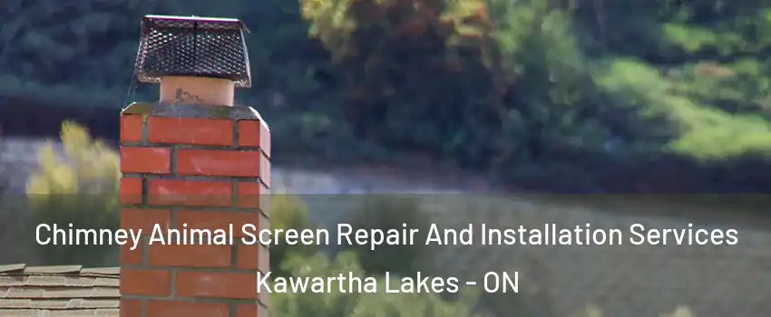  Chimney Animal Screen Repair And Installation Services Kawartha Lakes - ON