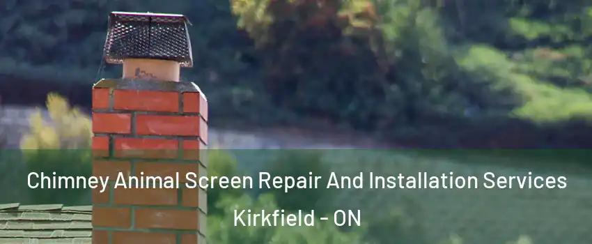  Chimney Animal Screen Repair And Installation Services Kirkfield - ON