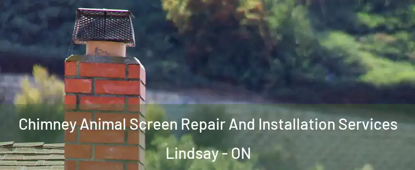  Chimney Animal Screen Repair And Installation Services Lindsay - ON