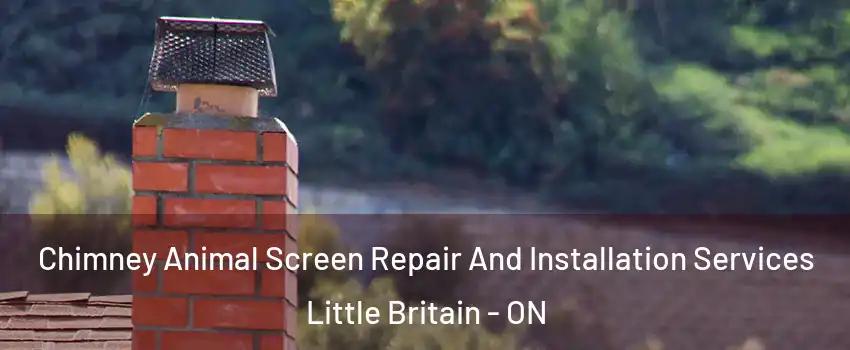  Chimney Animal Screen Repair And Installation Services Little Britain - ON