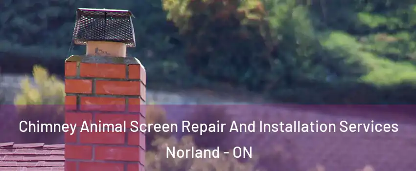  Chimney Animal Screen Repair And Installation Services Norland - ON