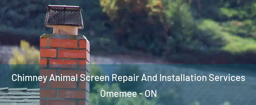  Chimney Animal Screen Repair And Installation Services Omemee - ON