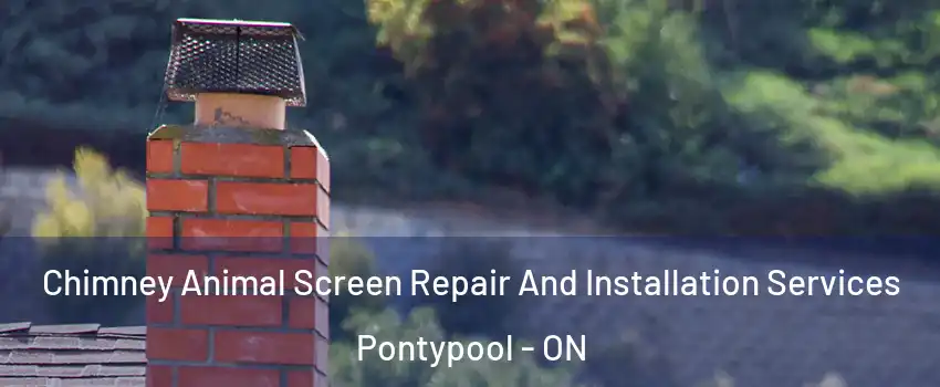  Chimney Animal Screen Repair And Installation Services Pontypool - ON