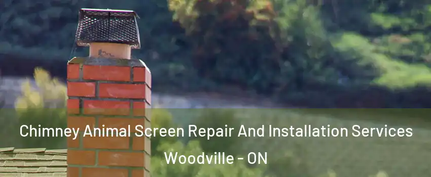 Chimney Animal Screen Repair And Installation Services Woodville - ON