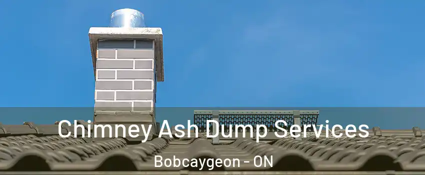  Chimney Ash Dump Services Bobcaygeon - ON
