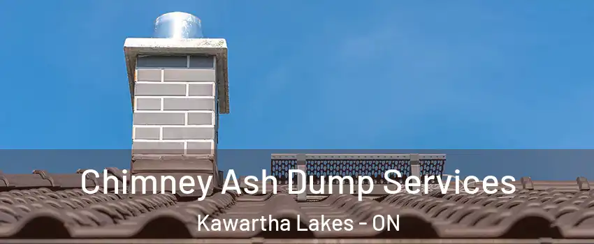  Chimney Ash Dump Services Kawartha Lakes - ON