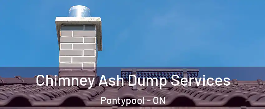  Chimney Ash Dump Services Pontypool - ON