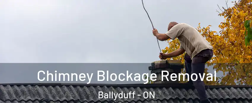  Chimney Blockage Removal Ballyduff - ON