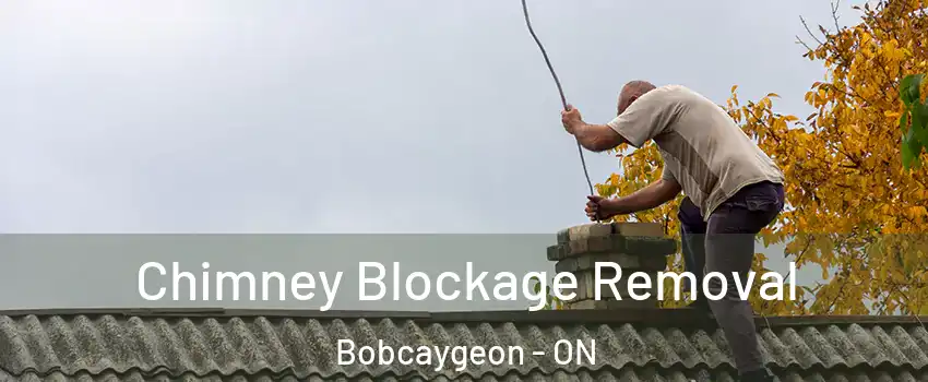  Chimney Blockage Removal Bobcaygeon - ON