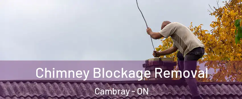  Chimney Blockage Removal Cambray - ON