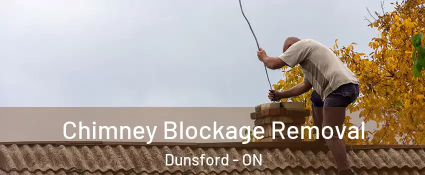  Chimney Blockage Removal Dunsford - ON