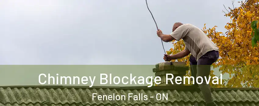  Chimney Blockage Removal Fenelon Falls - ON
