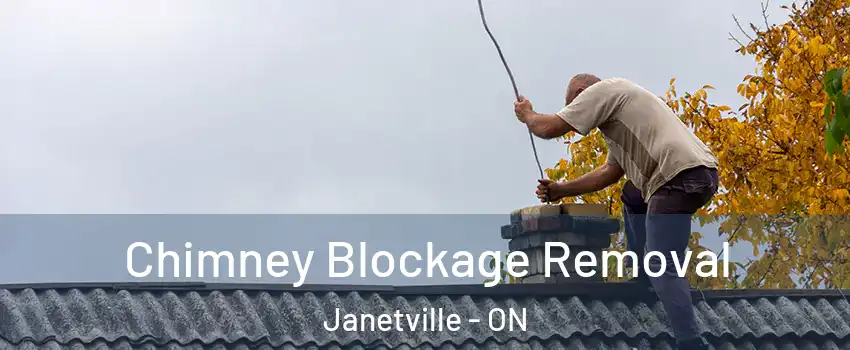  Chimney Blockage Removal Janetville - ON