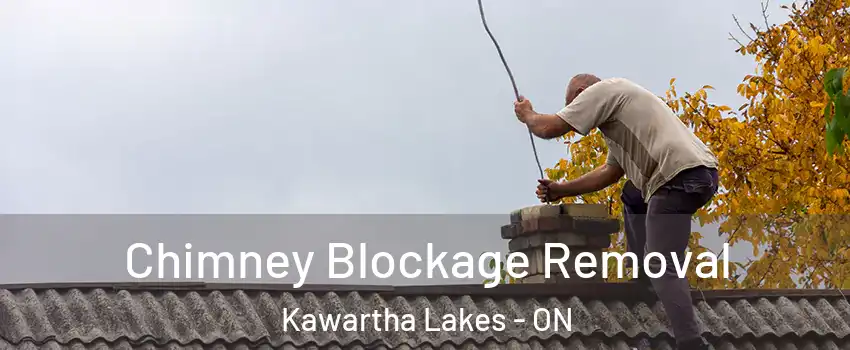  Chimney Blockage Removal Kawartha Lakes - ON