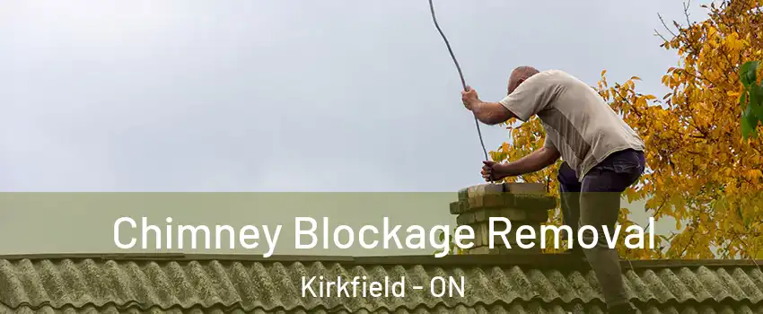  Chimney Blockage Removal Kirkfield - ON
