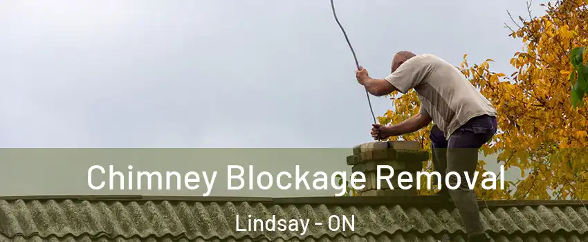  Chimney Blockage Removal Lindsay - ON