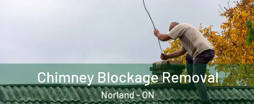  Chimney Blockage Removal Norland - ON