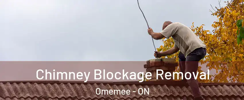  Chimney Blockage Removal Omemee - ON