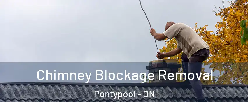  Chimney Blockage Removal Pontypool - ON