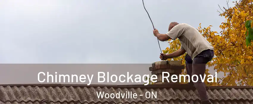  Chimney Blockage Removal Woodville - ON