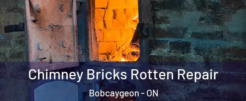  Chimney Bricks Rotten Repair Bobcaygeon - ON