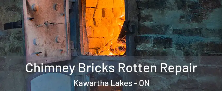  Chimney Bricks Rotten Repair Kawartha Lakes - ON