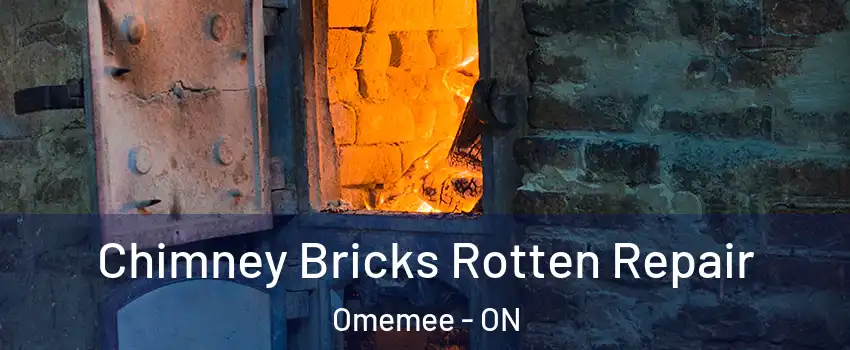  Chimney Bricks Rotten Repair Omemee - ON