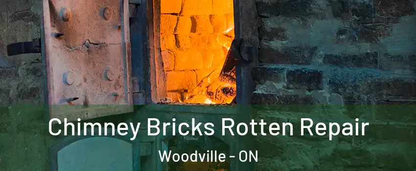  Chimney Bricks Rotten Repair Woodville - ON