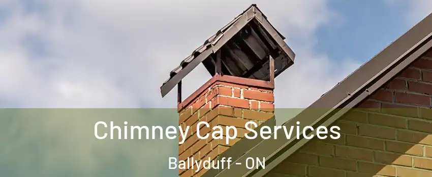  Chimney Cap Services Ballyduff - ON